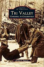 Tri Valley, Cobleskill to Colliersville