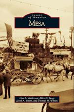 Mesa