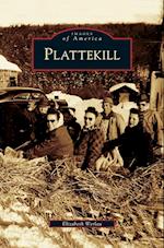 Plattekill