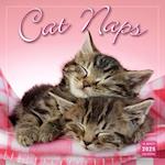 2025 Cat Naps Wall Calendar