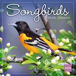 2025 Songbirds of North America Wall Calendar