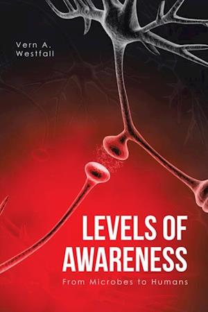 Levels of Awareness