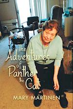 The Adventures of Panther the Cat