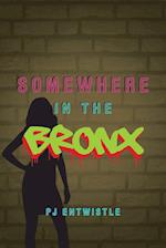 Somewhere in the Bronx 