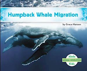 Humpback Whale Migration