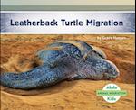 Leatherback Turtle Migration