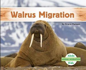 Walrus Migration