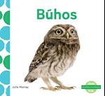 Búhos (Owls) (Spanish Version)