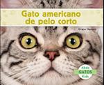 Gato Americano de Pelo Corto (American Shorthair Cats) (Spanish Version)