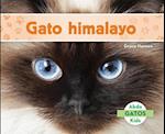 Gato Himalayo (Himalayan Cats) (Spanish Version)