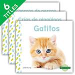 Crías de Animales (Baby Animals) (Spanish Version) (Set)
