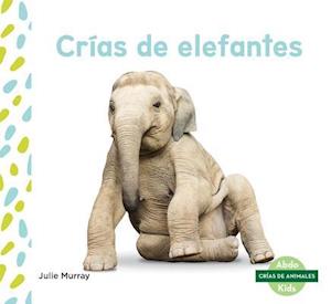 Crías de Elefantes (Elephant Calves) (Spanish Version)