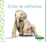Crías de Elefantes (Elephant Calves) (Spanish Version)