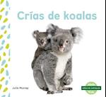 Crías de Koalas (Koala Joeys) (Spanish Version)