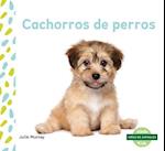 Cachorros de Perros (Puppies) (Spanish Version)