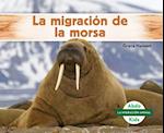 La Migración de la Morsa (Walrus Migration) (Spanish Version)