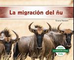 La Migración del ñu (Wildebeest Migration) (Spanish Version)