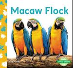 Macaw Flock