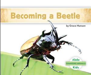 Becoming a Beetle