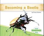 Becoming a Beetle
