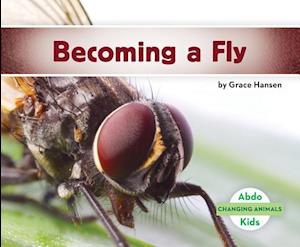 Becoming a Fly