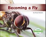 Becoming a Fly