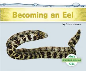 Becoming an Eel