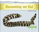 Becoming an Eel