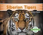 Siberian Tigers