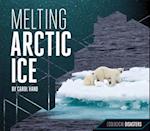 Melting Arctic Ice