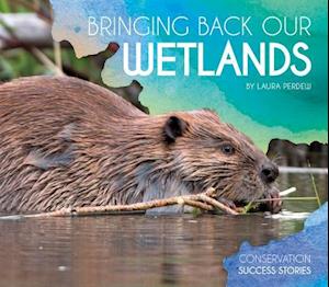 Bringing Back Our Wetlands