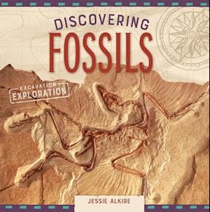 Discovering Fossils