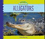 Alligators