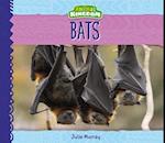 Bats