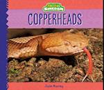 Copperheads