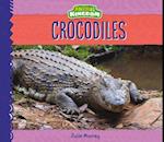 Crocodiles