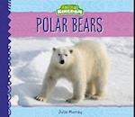 Polar Bears