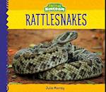 Rattlesnakes