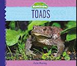 Toads