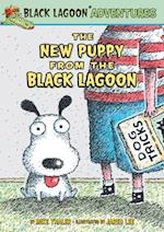 New Puppy from the Black Lagoon