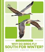 Why Do Birds Fly South for Winter?
