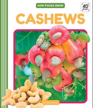 Cashews