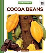 Cocoa Beans