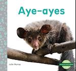 Aye-Ayes (Aye-Ayes)