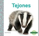 Tejones (Badgers)