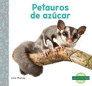 Petauros de Azúcar (Sugar Gliders)