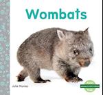 Wombats (Wombats)