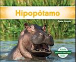 Hipopótamo (Hippopotamus)