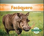 Facóquero (Warthog)