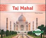 Taj Mahal (Taj Mahal)